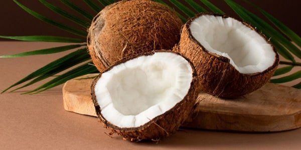 coconut4